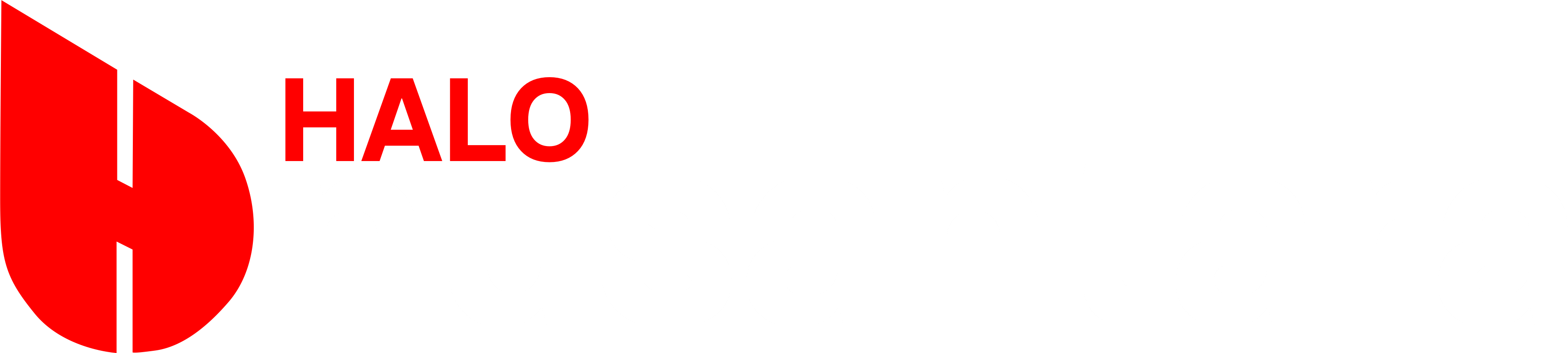 Halo Nusantara