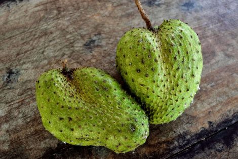 Manfaat Buah Sirsak