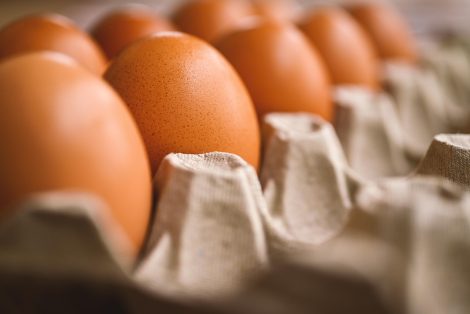 Bahaya Telur Terkontaminasi Salmonella