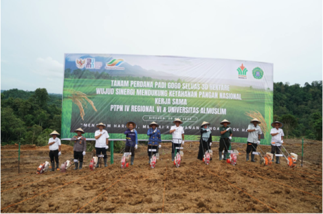 Aceh Jadi Etape Baru Program TAMPAN PalmCo