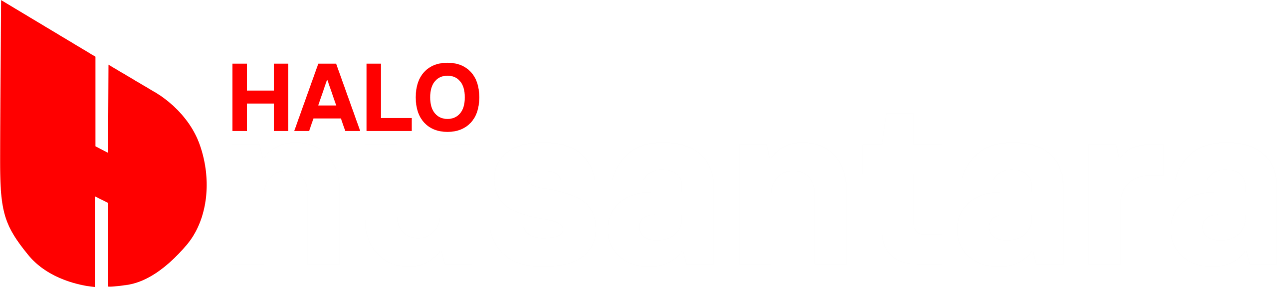 Halo Nusantara
