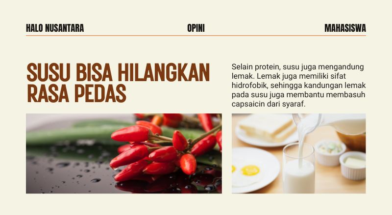Susu Bisa Hilangkan Rasa Pedas